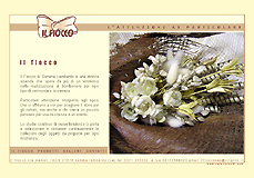 ilfioccosomma.it 
